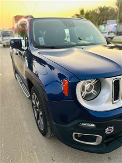 جيب رينيجيد